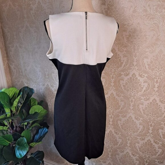 Apt 9 Size Petite Large Black/White Shift Dress Sleeveless Crew Neck NWT - Picture 5 of 13